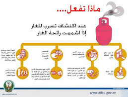 شركة كشف تسربات الغاز